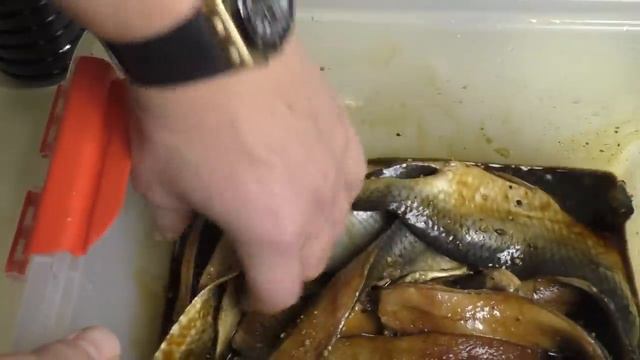 ВЯЛЕНАЯ СЕЛЁДКА, ВКУСНЕЕ ЧЕМ КОПЧЁНАЯ ИЗ МАГАЗИНА, Рецепты из рыбы от fisherman dv.27rus смотреть онлайн