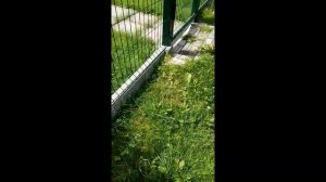 3d забор на сборном бетонном фундаменте  - до и после