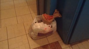 Что делать если соседи оставляют мусор в общем подъезде?