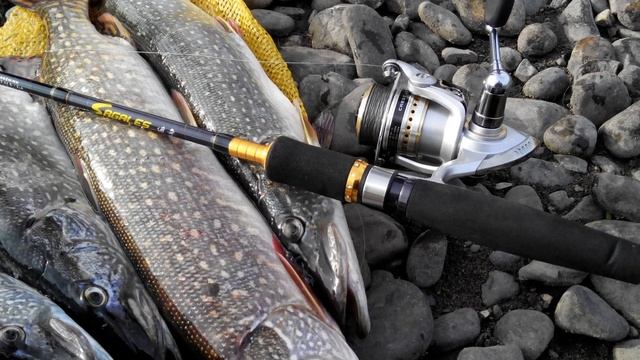 ? КАК ЛОВИТЬ НА СПИННИНГ? смотреть онлайн