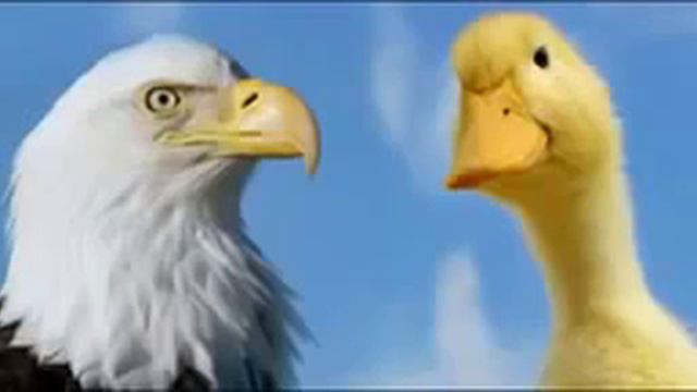 Информация к размышлению Кто ты Орел или утка смотреть онлайн