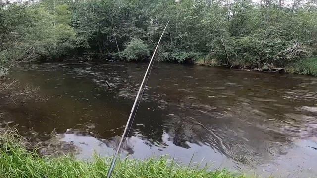 Хабаровский край. Рыбалка. Поймал хариуса. смотреть онлайн