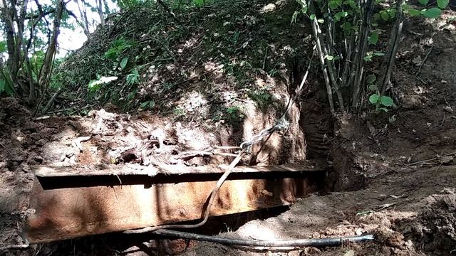 Рулька, осы и двутавр,пахал землю,как кентавр..... смотреть онлайн