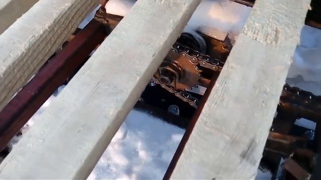 Муравей палочник устройство. смотреть онлайн