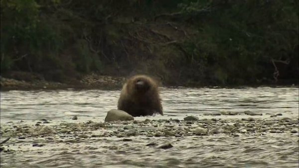 Amazing Quest: Stories from Alaska | Somewhere on Earth: Alaska | Free Documentary