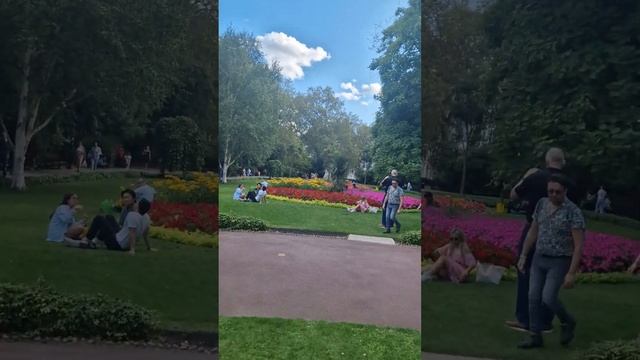 park Vue please subscribe like share thanks #allpurpose смотреть онлайн