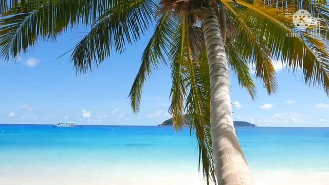 Ocean Beach sound and sleeping soundhttps://tagsyoutube.com/download.php?file=https://img.you смотреть онлайн