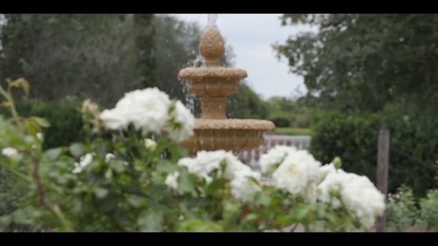 Leu Gardens, Orlando FL смотреть онлайн