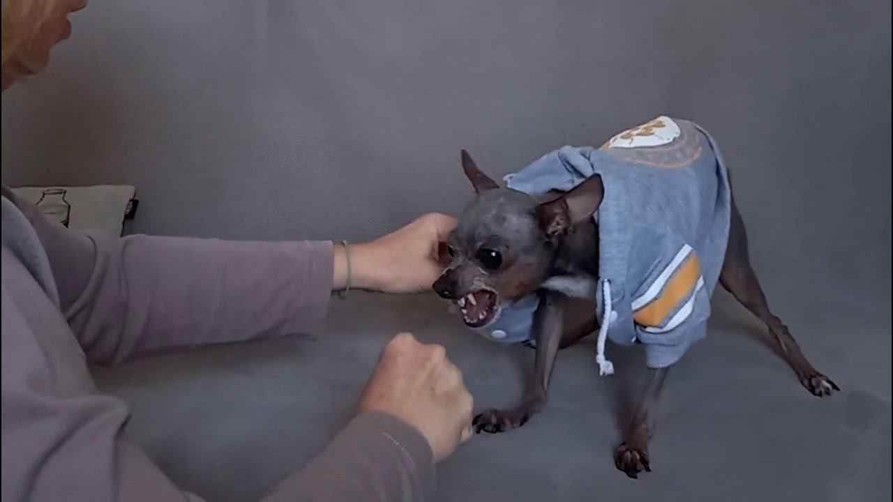 ДО и ПОСЛЕ-Результаты учеников Ш.А.Н. (Часть 2) смотреть онлайн