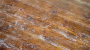 Нанесение лака краскопультом, межслоевая шлифовка 08 серия.