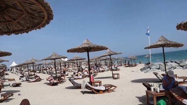 Остров Сир-Бани-Яс (ОАЭ) - Sir Bani Yas Island (UAE) 06-02-2023 смотреть онлайн