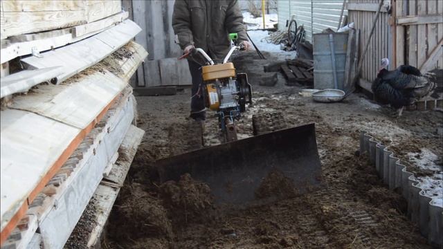 Как можно легко убрать навоз гусеничным мотоблоком нева МБ2 с отвалом. Часть 2. смотреть онлайн