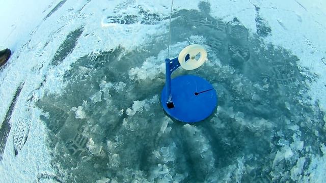 ПЕРВЫЙ ЛЁД С ЖЕРЛИЦАМИ С НОЧЕВКОЙ ЗА ЩУКОЙ, НЕ УСПЕЛИ РАССТАВИТЬ ВСЕ ЖЕРЛИЦЫ, УСТАЛИ БЕГАТЬ ОТ КЛЁВ смотреть онлайн