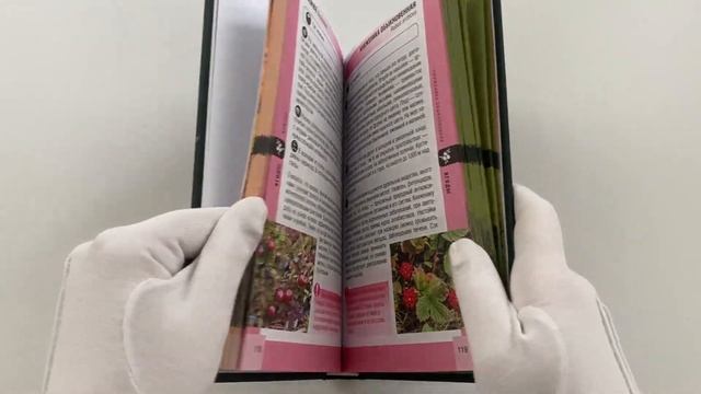 Лесной гид: грибы, ягоды, травы. Карманный атлас-определитель смотреть онлайн
