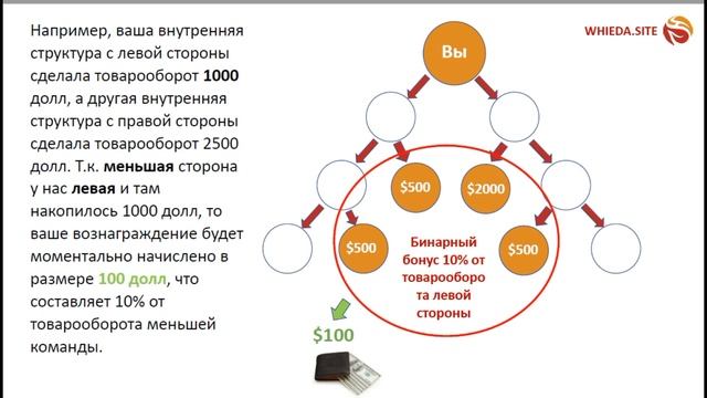 WHIEDA | ? Маркетинг-план смотреть онлайн