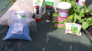 Весна  Лечим кору деревьев  Живая кора, садовый вар и. т. д.