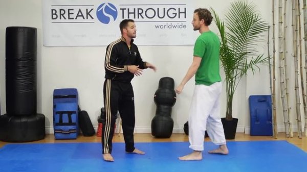 Taijutsu Techniques : Martial Arts Techniques & Exercises