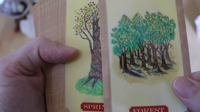46. Tree of Life Oracle Full Flip Through First Impressions from Katey Flowers смотреть онлайн