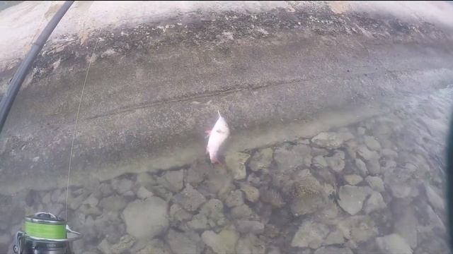 ФАНТАСТИЧЕСКАЯ РЫБАЛКА НА КУБЕ С БЕРЕГА | SHORE FISHING CUBA VARADERO смотреть онлайн