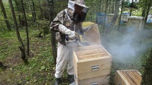Электрический дымарь  Топливо для дымаря. smoker for bees.