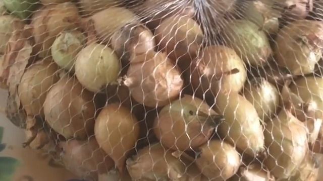 КАК ВЫБРАТЬ ЛУК СЕВОК ПРАВИЛЬНО. НУЖНО СОХРАНИТЬ ЛУК ДО ВЕСНЫ ПРАВИЛЬНО. ЭНЦИКЛОПЕДИЯ ДАЧНИКА смотреть онлайн