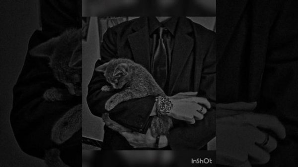 PollmixaN-||-Я дурак среди глупцов