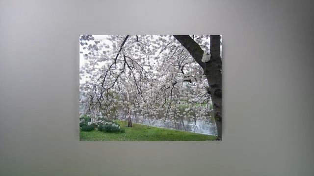 С праздником весны! смотреть онлайн