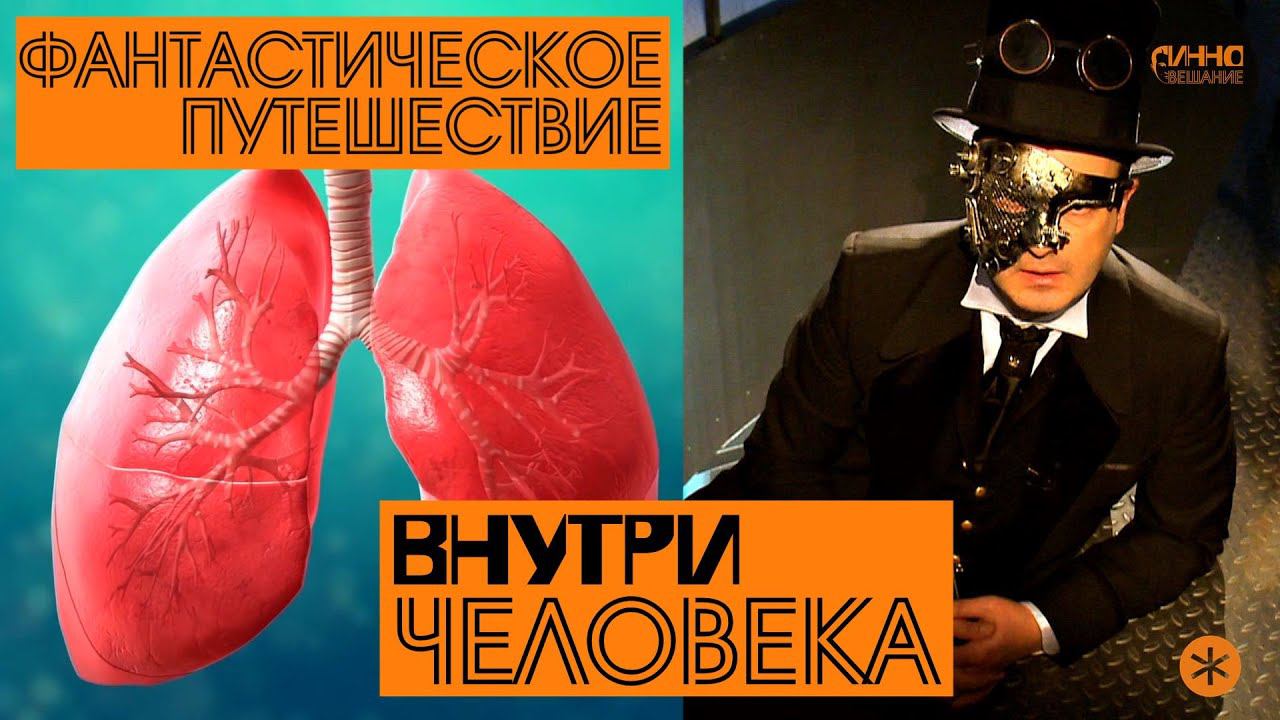 ВНУТРИ ЧЕЛОВЕКА. Из цикла "ФАНТАСТИЧЕСКОЕ ПУТЕШЕСТВИЕ". Пятнадцатая серия. смотреть онлайн