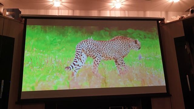 byintek u50 pro при комнатном освещении, установлен сбоку. смотреть онлайн