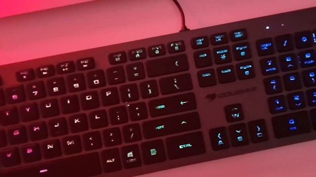 Cougar Keyboard and Mouse Review! смотреть онлайн