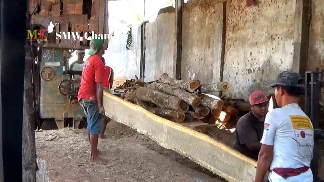 Luar biasa kayu mahal umur ratusan juta berwujud mirip gigi genderuwo смотреть онлайн