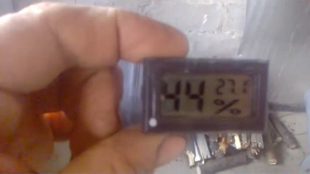 Цыплята чуть не замёрзли смотреть онлайн