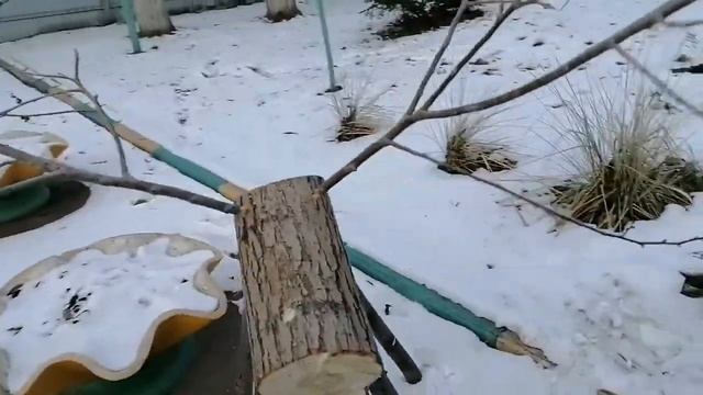 СУПЕР Олени для украшения двора из поленьев и веток смотреть онлайн