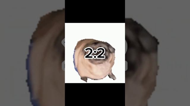 мопс Vs белуга #мемы #meme #белуга #мопсы #собаки #кот смотреть онлайн