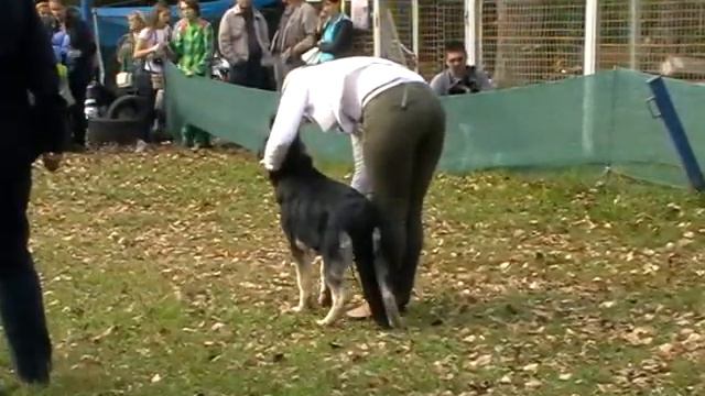 Суки бэбики смотреть онлайн