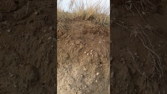 Какие земли в Монголии? смотреть онлайн