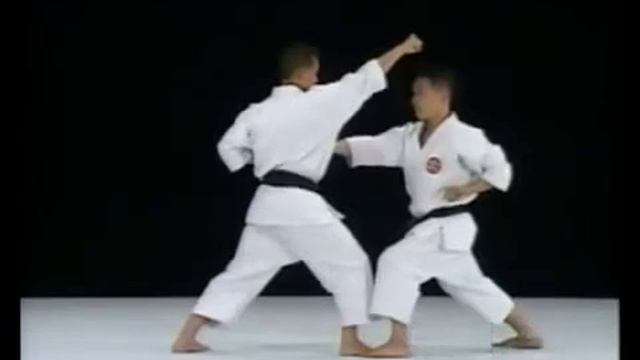 Урок 4 Ката Дзион Бункай смотреть онлайн