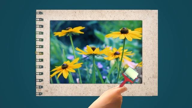 Краски и звуки лета смотреть онлайн