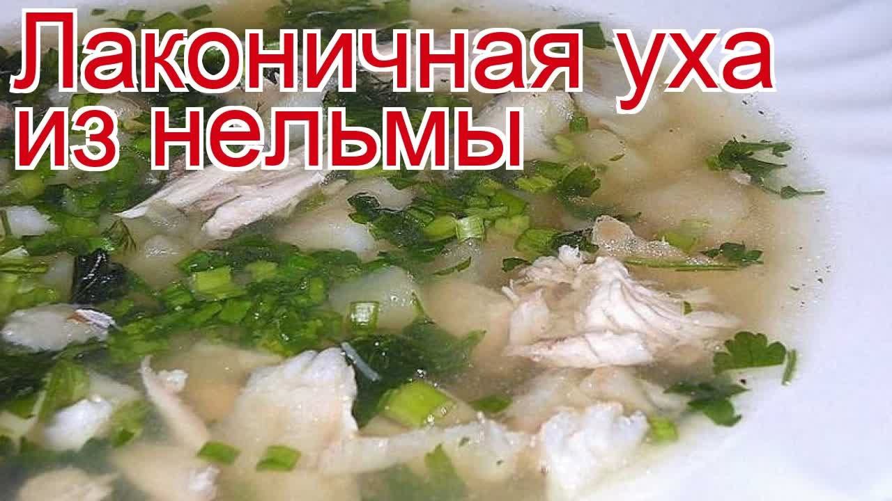 ДикоЕд - самая натуральная еда