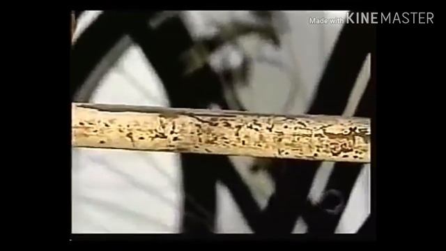 EVOLUTION CYCLING TEAM смотреть онлайн