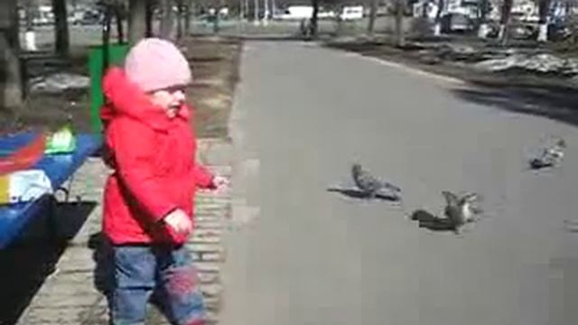 Прикол. Девочка кормит голубей смотреть онлайн