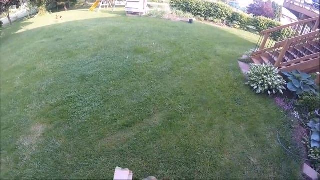 Bat Removal | Release Into Bat House смотреть онлайн