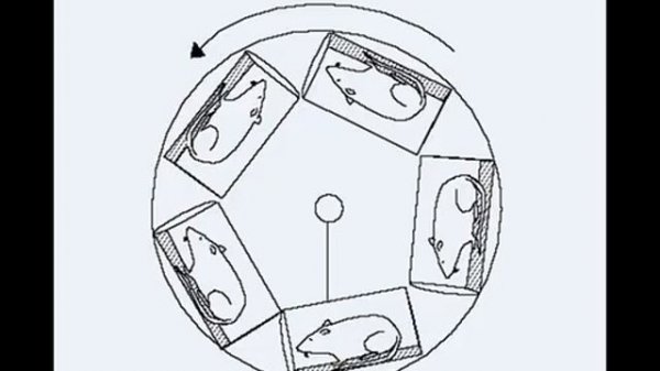Bion 4 Kosmos 936 Бион 4 Космос 936.mp4