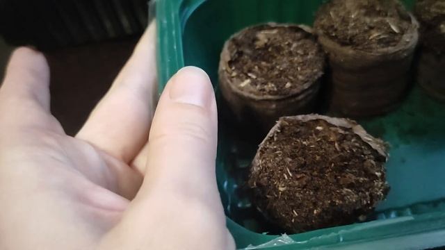 Дорогие семена – деньги на ветер? Или нет? смотреть онлайн