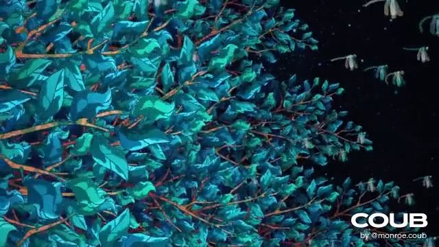 приколы - Форма жизни смотреть онлайн