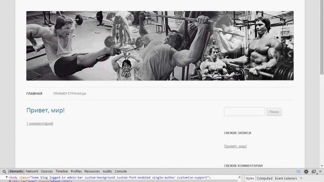 Работаем над хедером в WORDPRESS смотреть онлайн