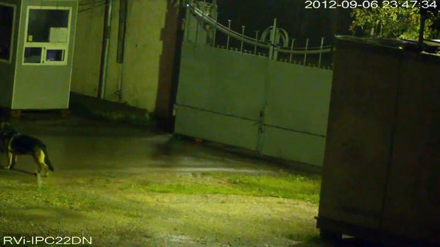 RVi IPC22DN Ночь въезд на территорию смотреть онлайн