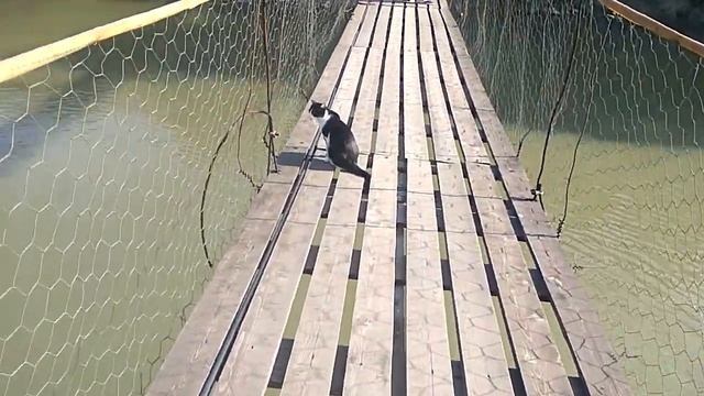 Мцхета. Ресторан 