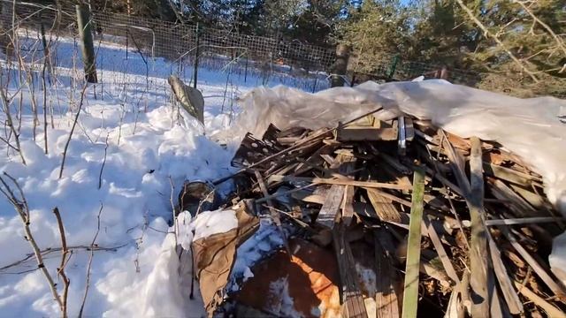 4182 Заготовка и сушка дров на зиму смотреть онлайн