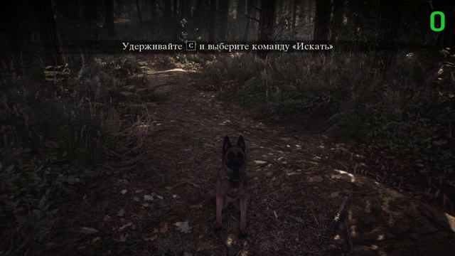 Blair Witch (Ведьма из Блэр) #1 | ПРОПАВШИЙ МАЛЬЧИК | прохождение смотреть онлайн